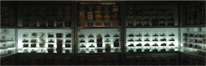 stacks_image_59CE0AF8-FB74-4720-8036-9136C4587358